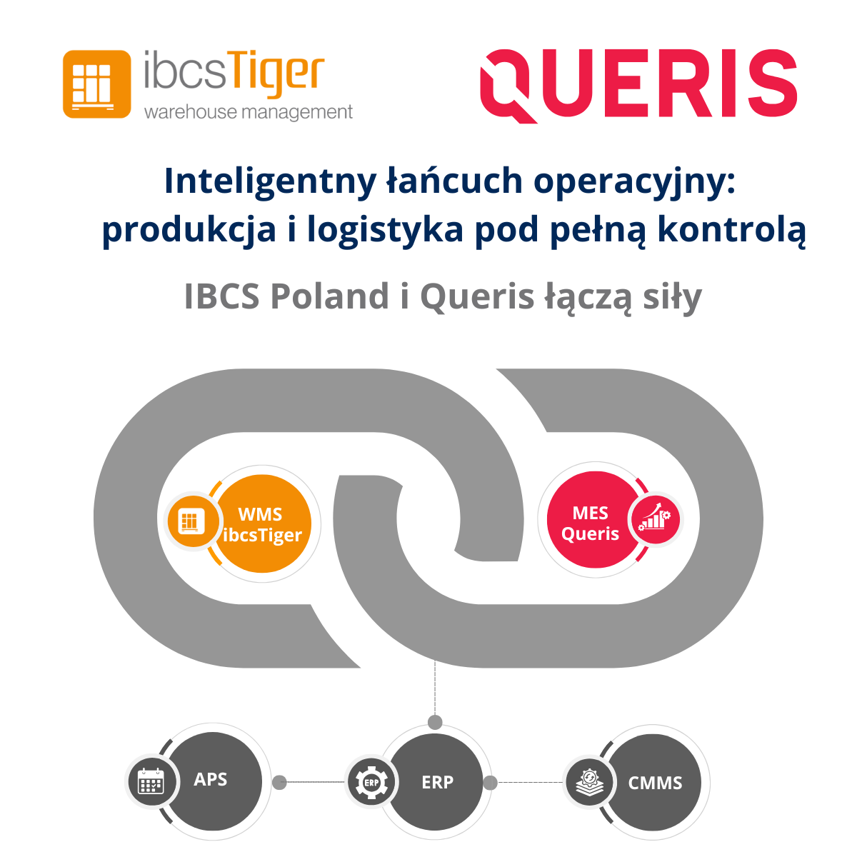 ibcsTiger&Queris(1).png