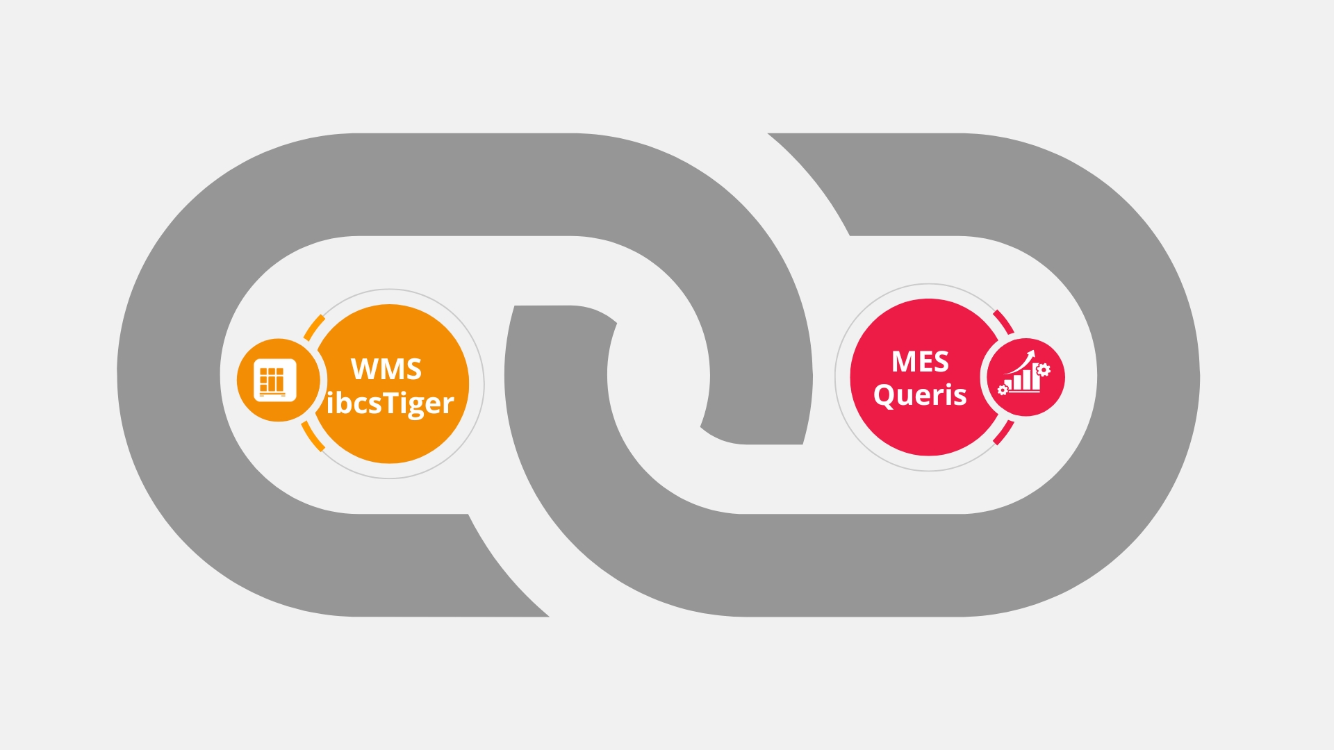 Queris&Tiger robocze.jpg